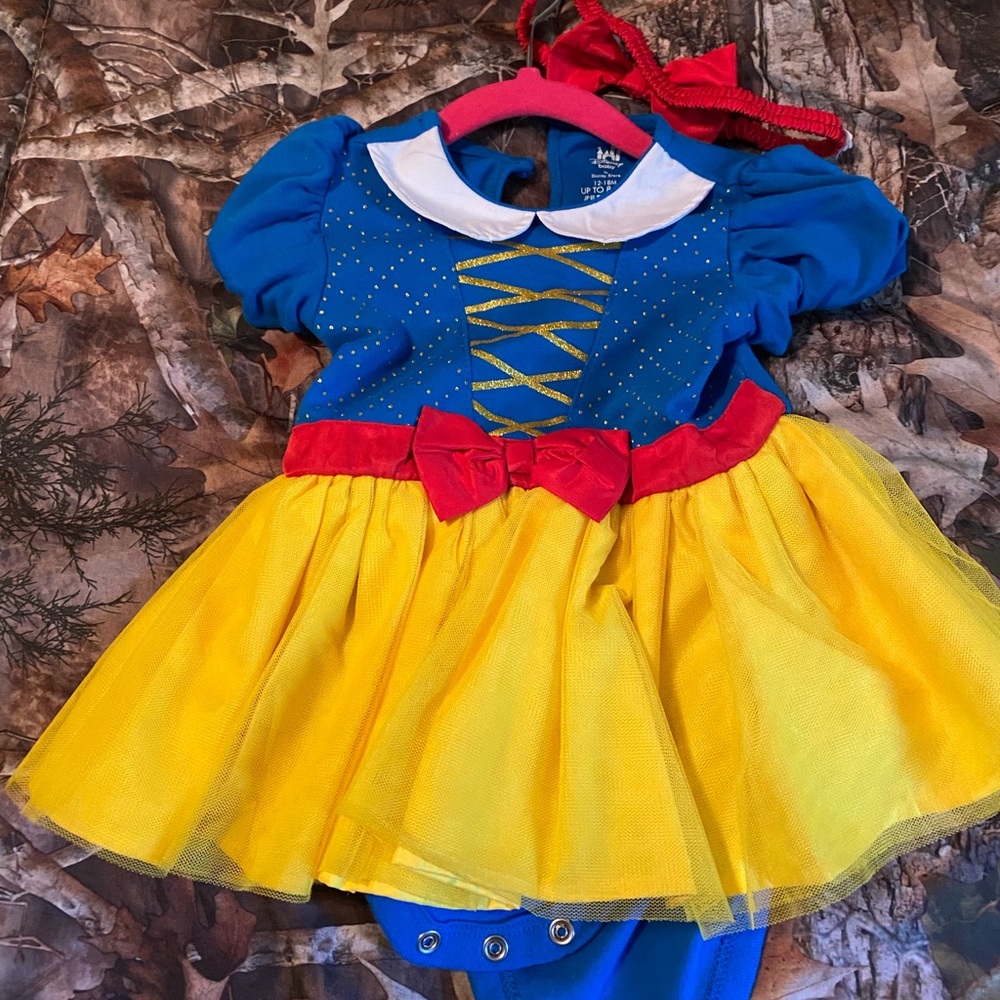 Disney costume